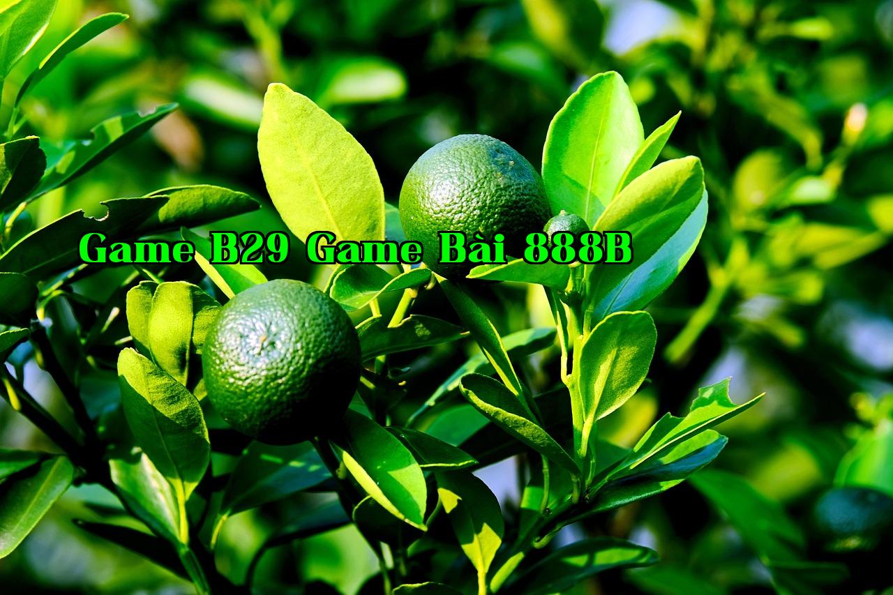 Quay xe để đón người - nhà cái khuyến mãi thành viên mới 88k